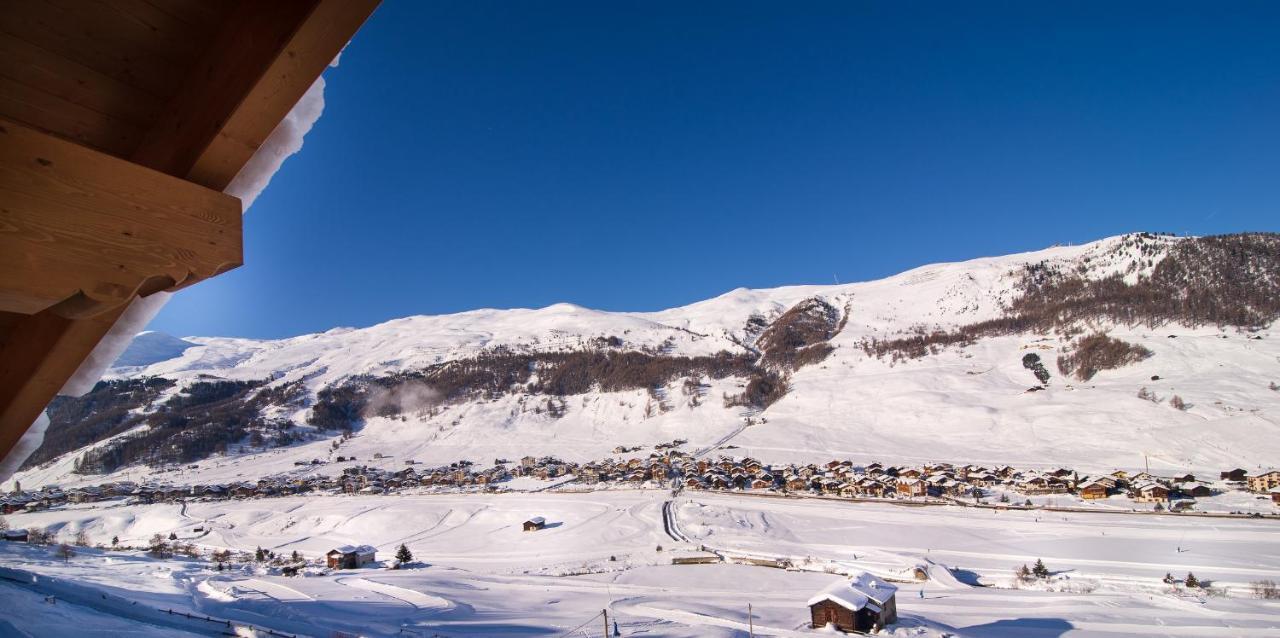 Claudia Livigno
